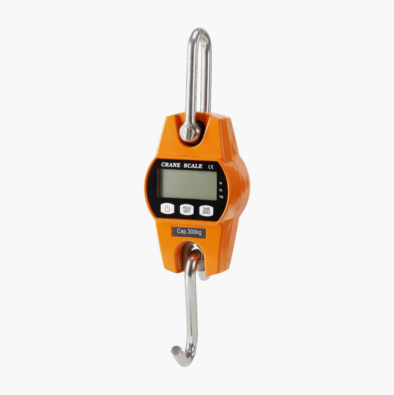 Crane / Hanging Scale - Precision Industrial Scale Co. Limited